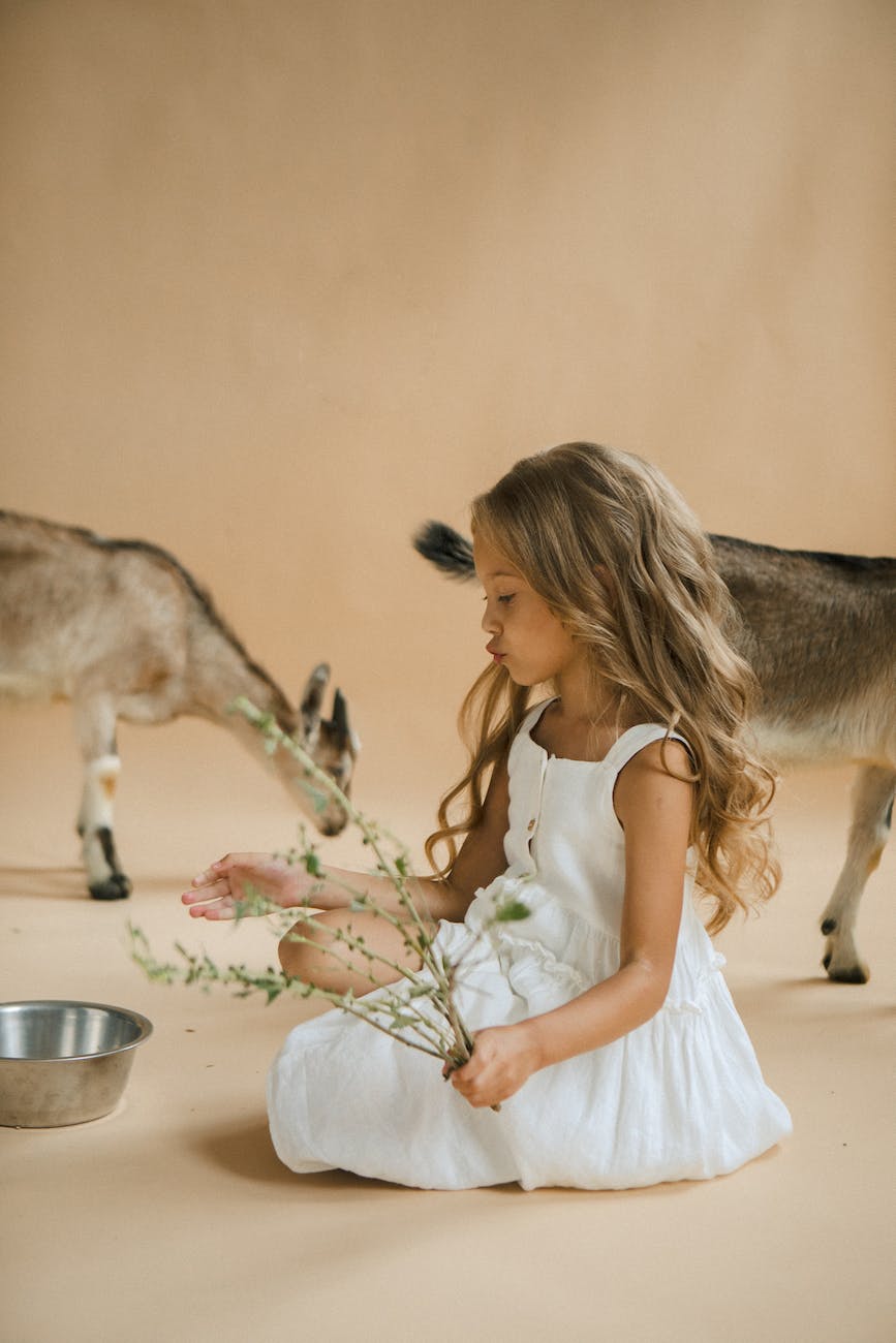 little girl sitting holding a twig with two little goats behind her